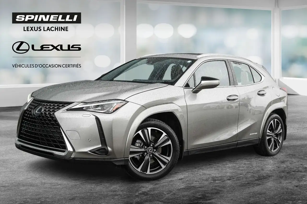 2022 Lexus UX 250h Luxury