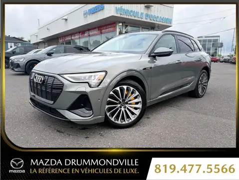 Audi e-tron Progressiv