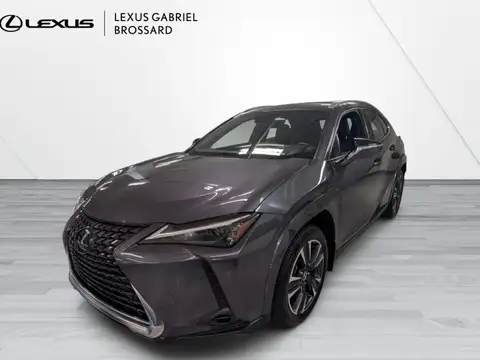 Lexus UX 250h Luxury