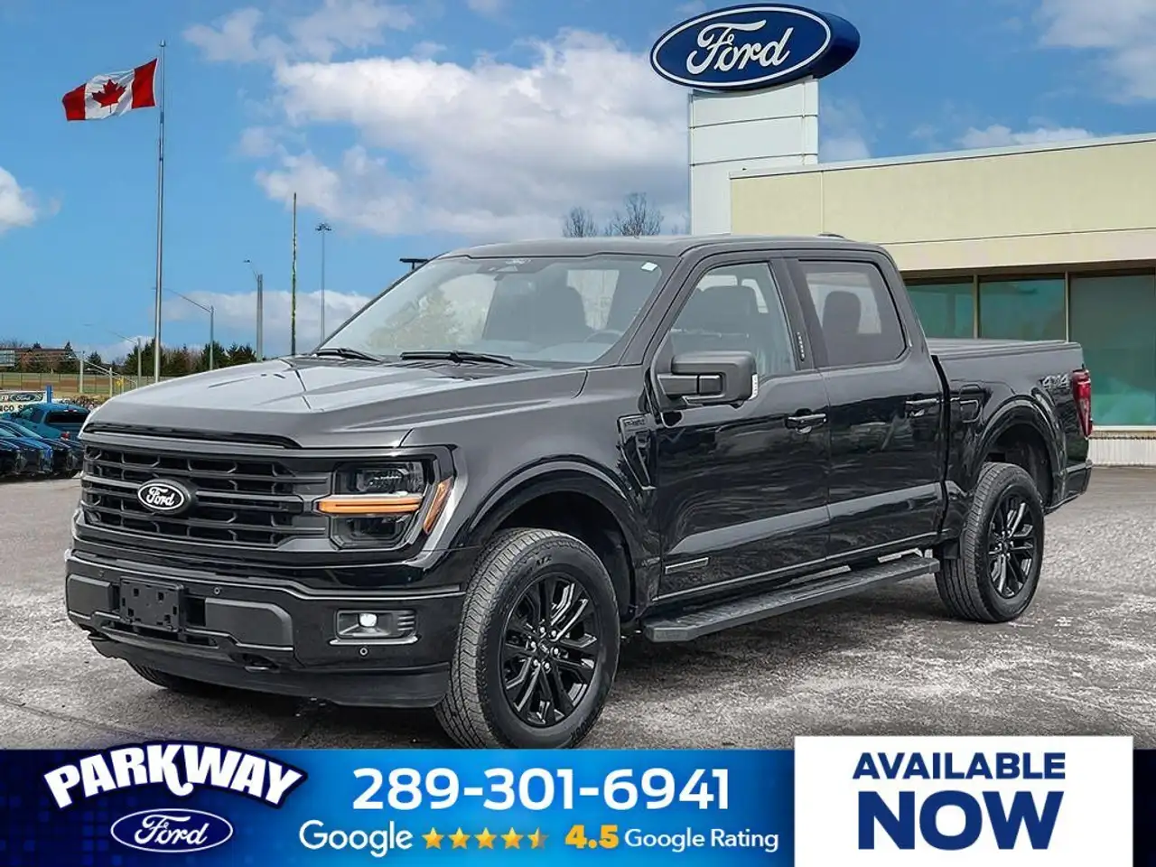 2024 Ford F-150 XLT