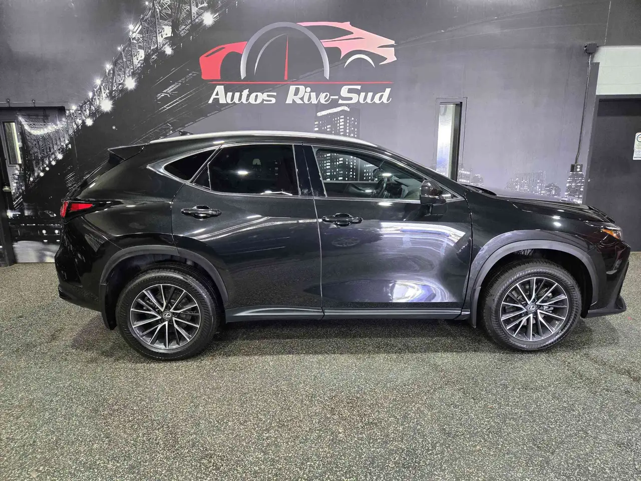 2024 Lexus NX 350 Premium