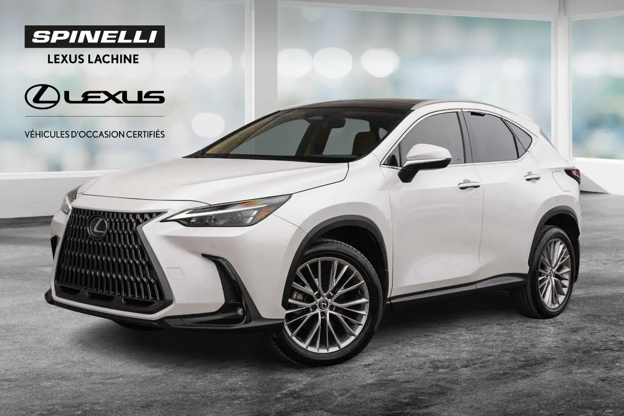 2024 Lexus NX 350h Luxury