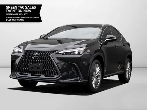 Lexus NX 350 Luxury