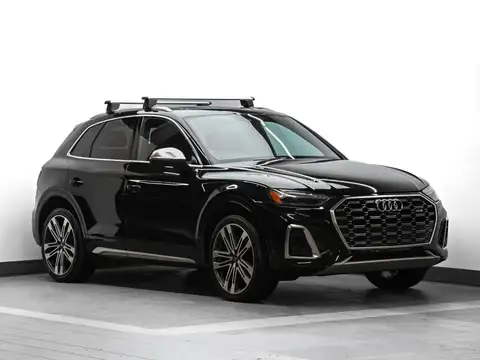 Audi SQ5 Technik