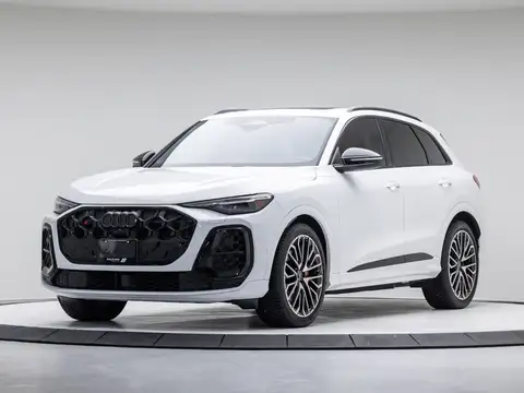 Audi SQ5 Technik