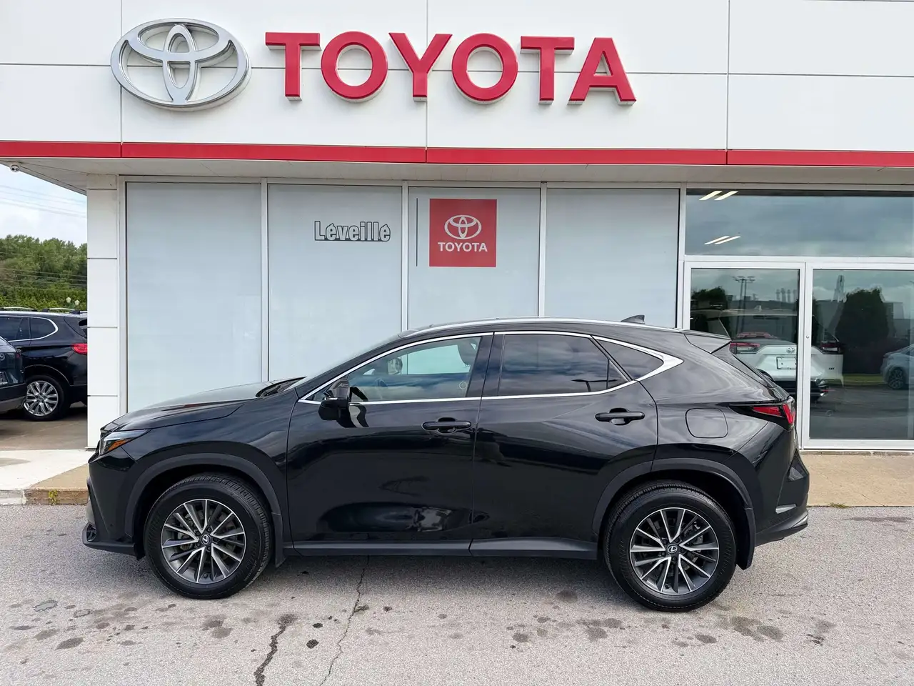 2025 Lexus NX 350
