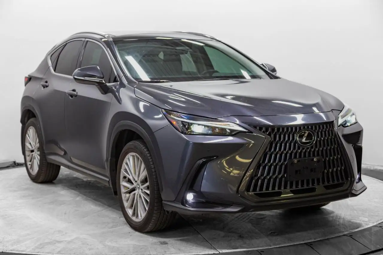 2025 Lexus NX Luxury
