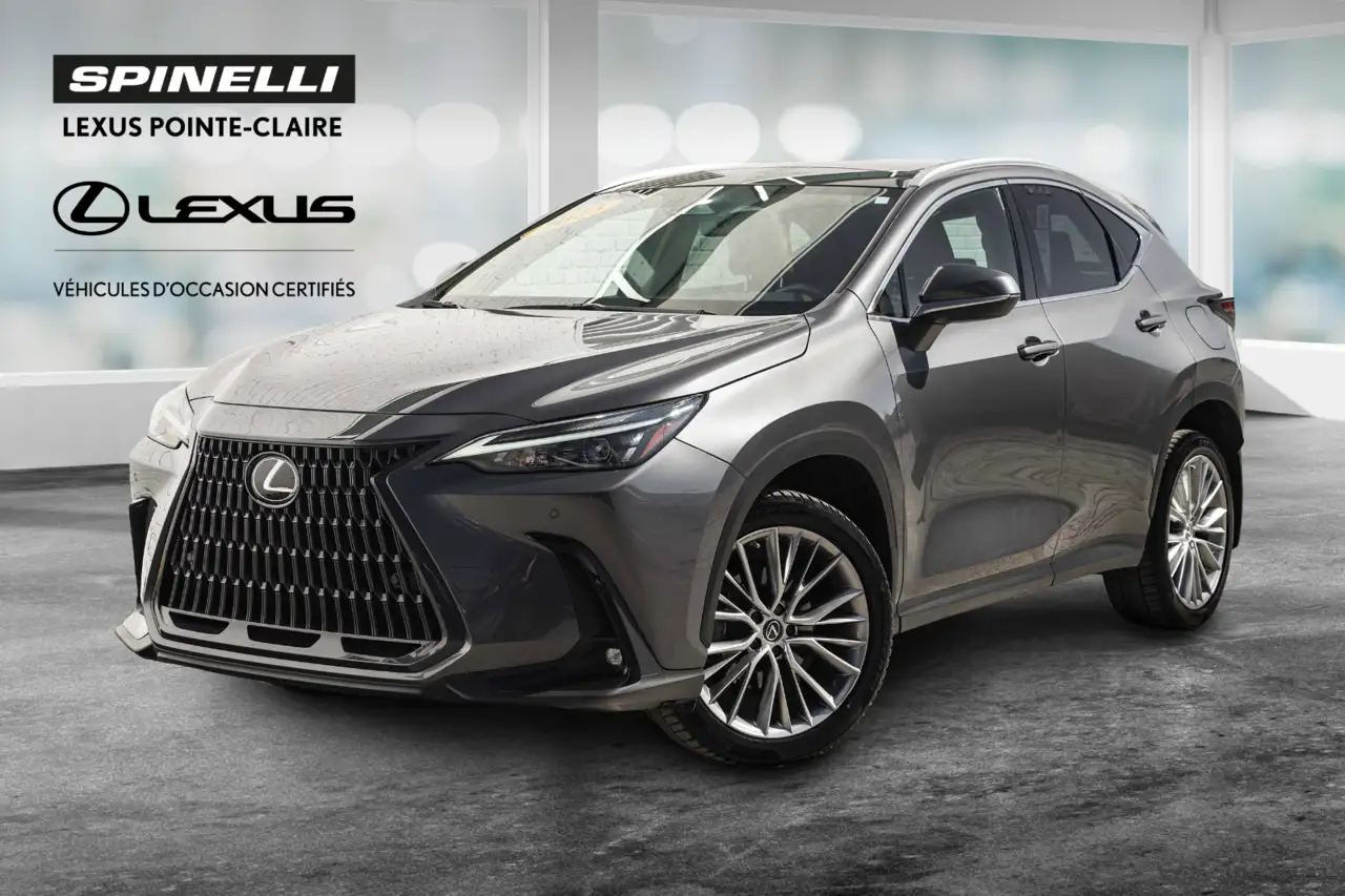 2023 Lexus NX 350 Luxury