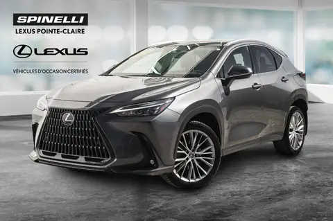 Lexus NX 350 Luxury