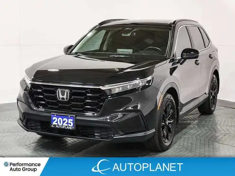 Honda CR-V Sport