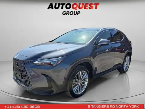 Lexus NX 350h Luxury