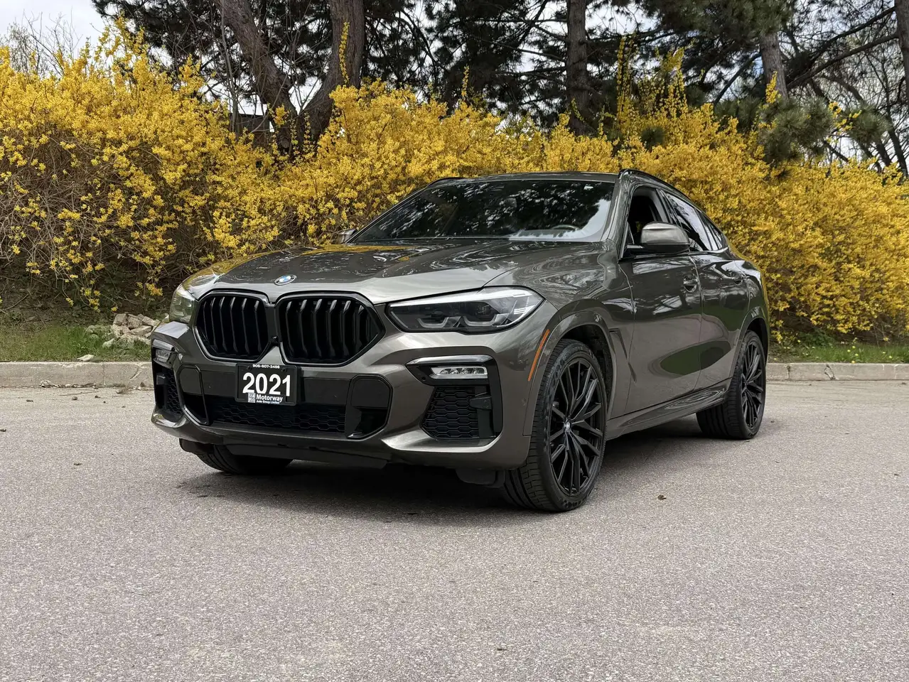 2021 BMW X6