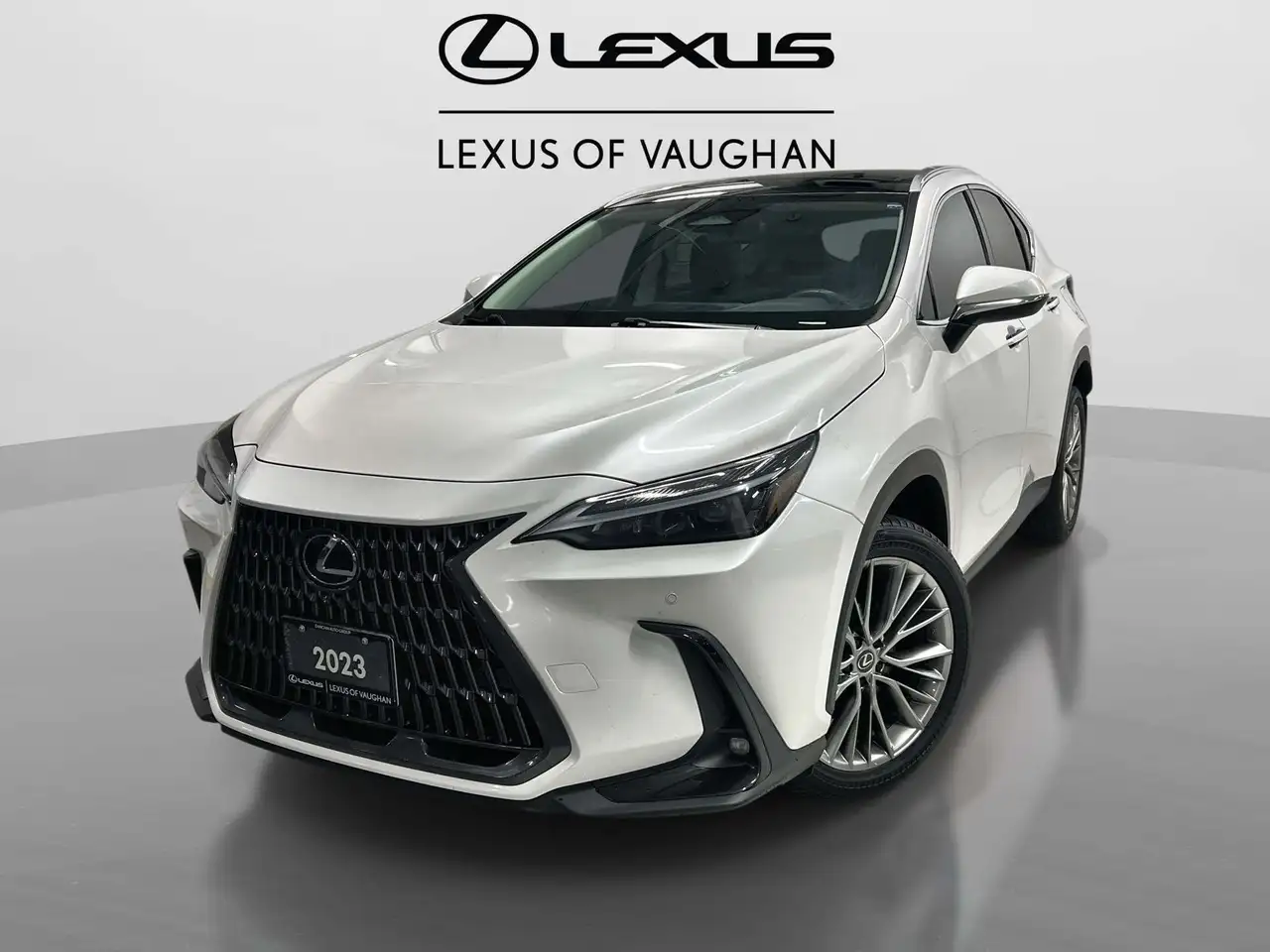 2023 Lexus NX 350h Luxury
