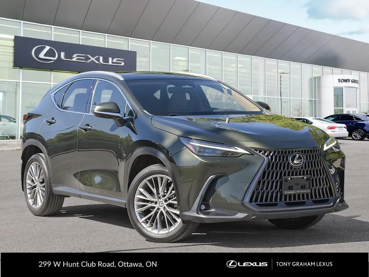 2022 Lexus NX 350 Premium