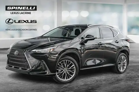 Lexus NX 350 Ultra Premium