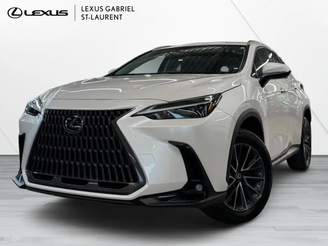 2022 Lexus NX 250 Signature