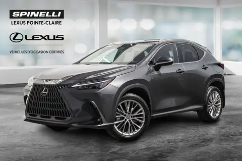 Lexus NX 350 Ultra Premium