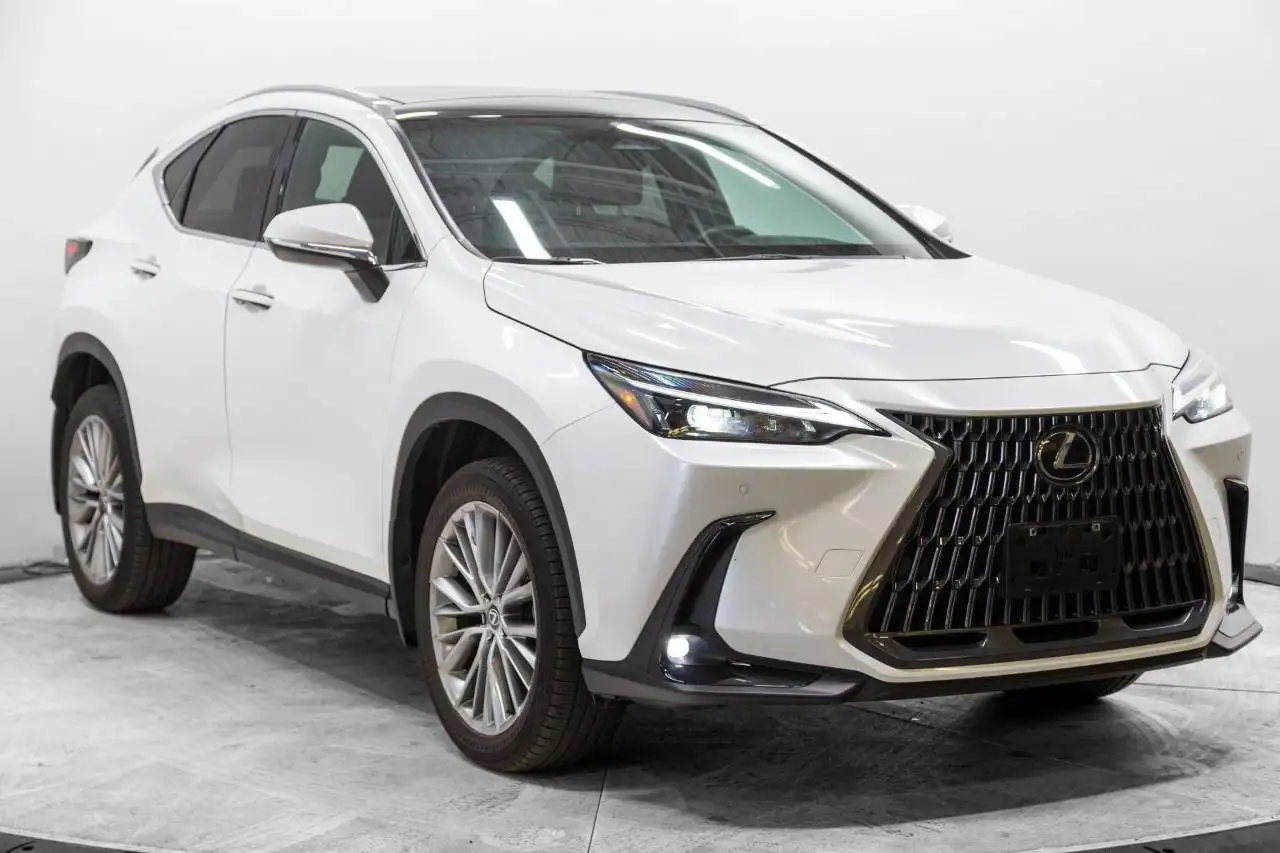 2024 Lexus NX Luxury
