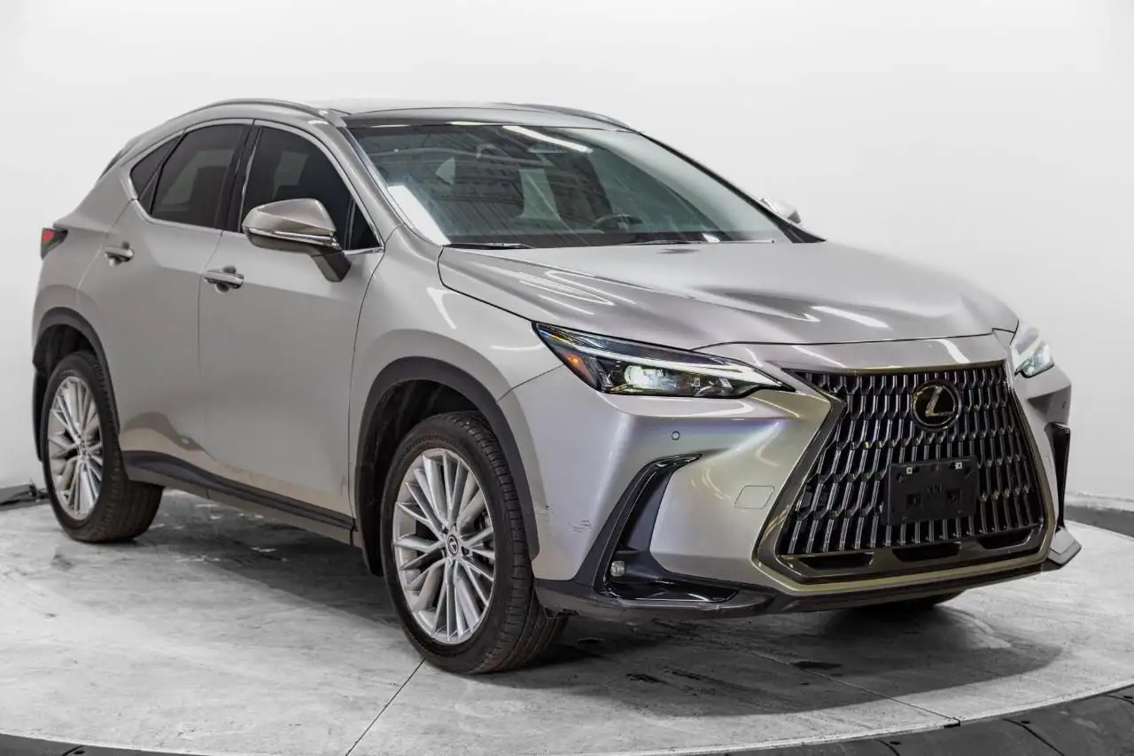 2025 Lexus NX Luxury