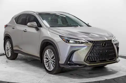 Lexus NX Luxury