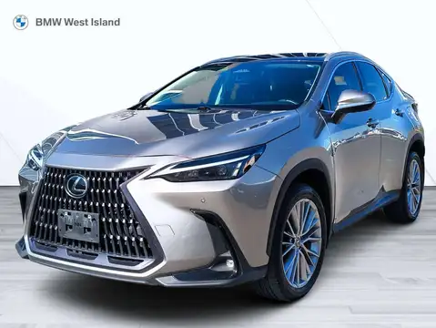 Lexus NX 350 Luxury